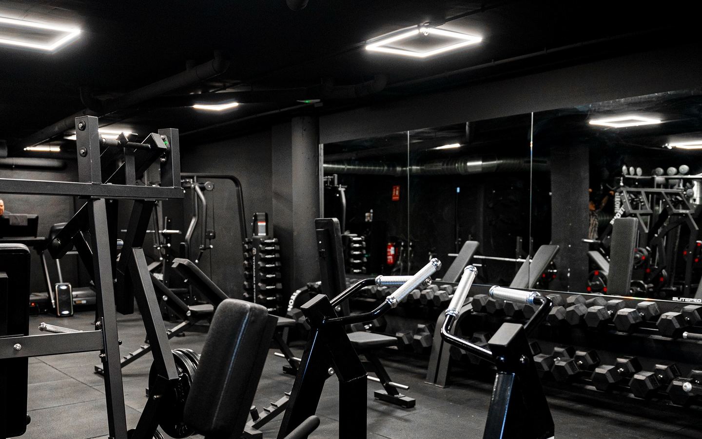 Sala real de ElitePro Gym con máquinas de musculación, mancuernas e iluminación LED
