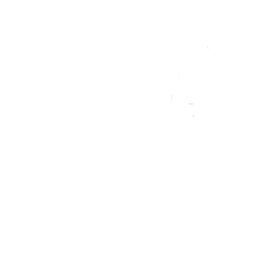 NLC360